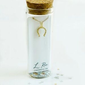 ❤️New❤️Gold Horseshoe Necklace